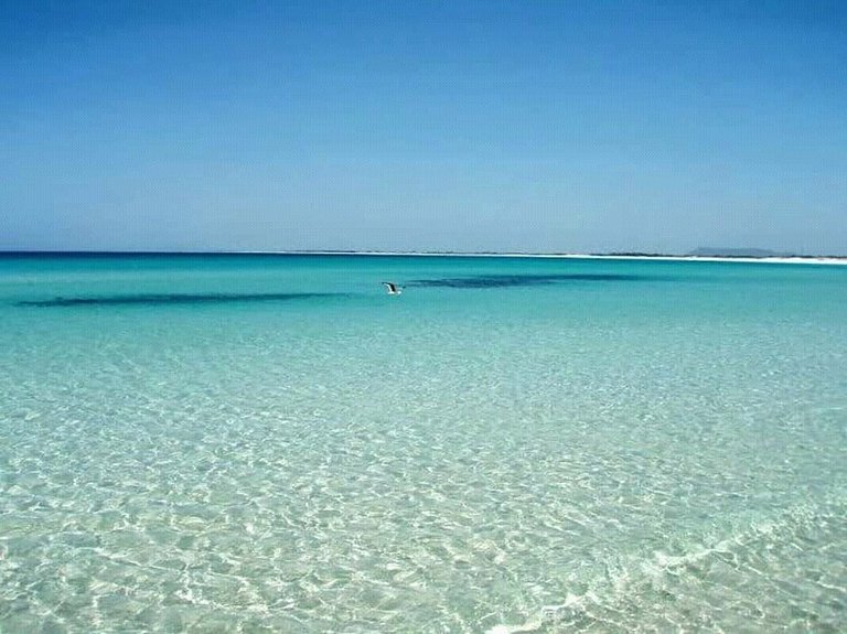 Arraial do Cabo - Vista Increíble - Praia Grande